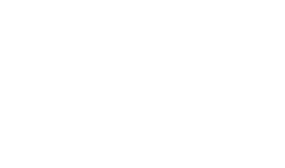 gs1